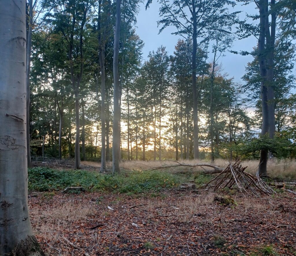 Home 20251013 174529